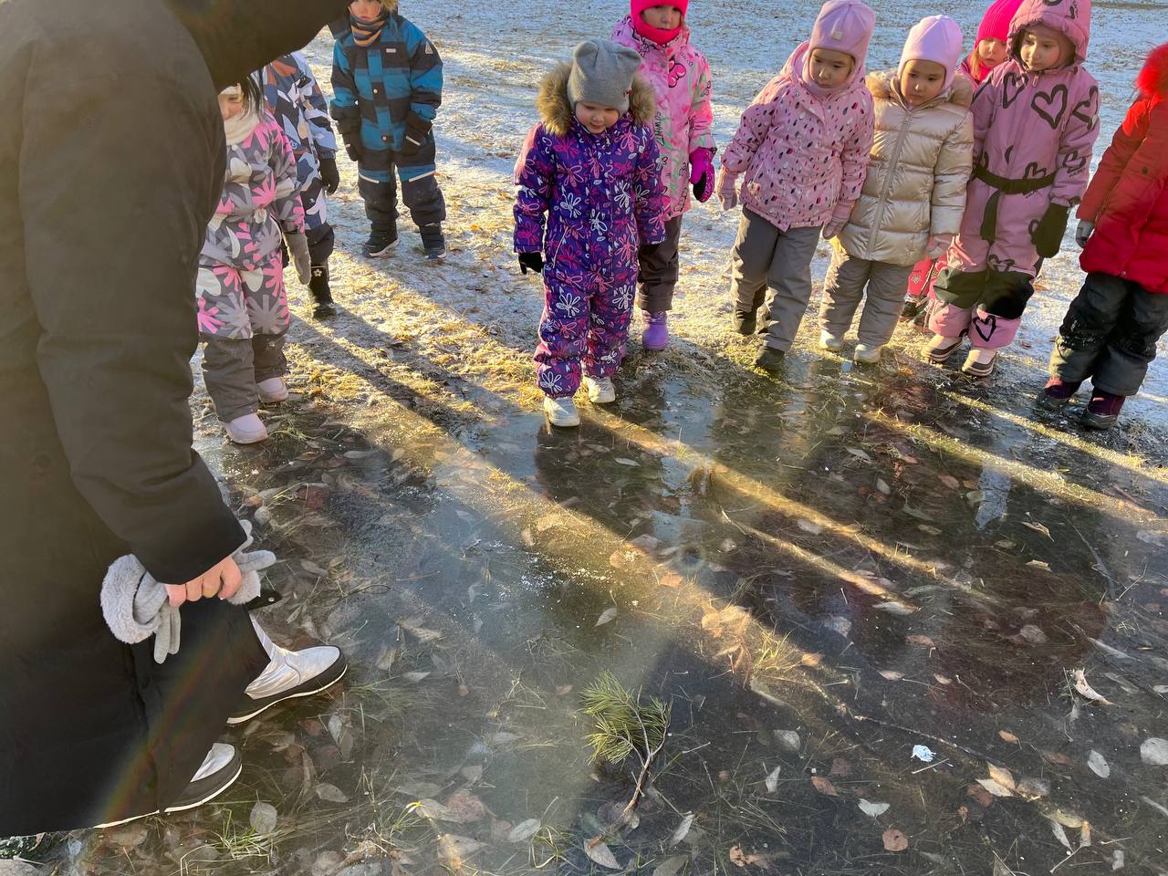 C:\Users\user\Downloads\26-11-2025_15-33-41\IMG_7977.JPG