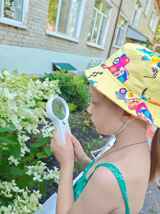 День удивительных открытий